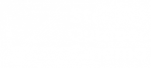 stately outdoor cinema logo (white with transparent background)